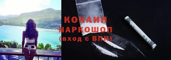 амф Магас