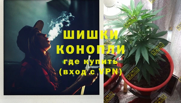 амф Магас