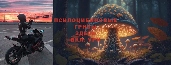 MDMA Premium VHQ Медвежьегорск