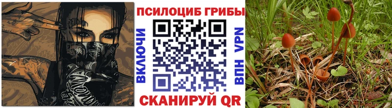Псилоцибиновые грибы ЛСД  blacksprut как войти  Елизаветинская 